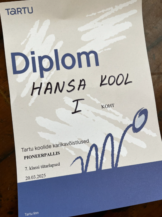 Pioneeripalli karikavõistlused 